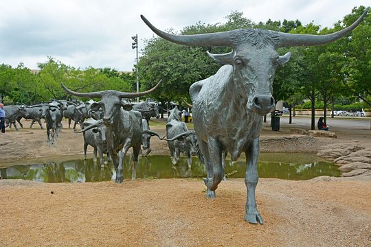 Tour image 7